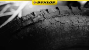 ยางแตกลายงา